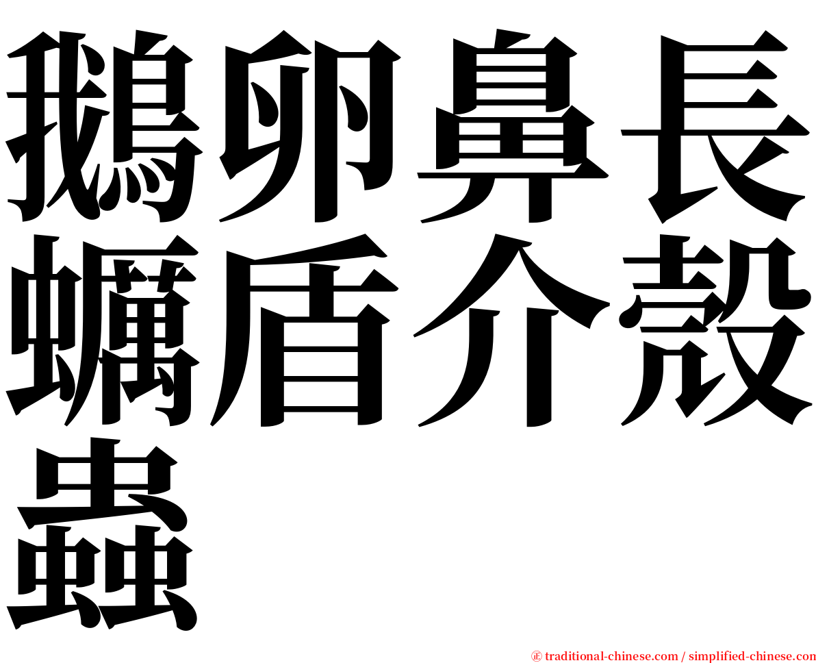 鵝卵鼻長蠣盾介殼蟲 serif font