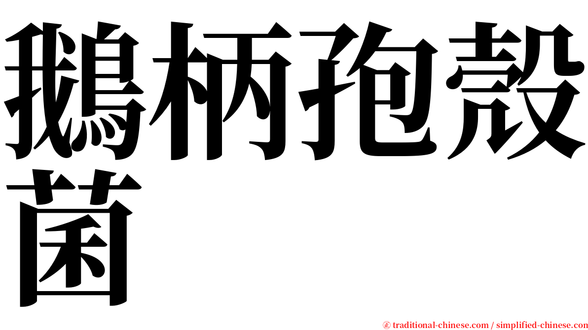 鵝柄孢殼菌 serif font