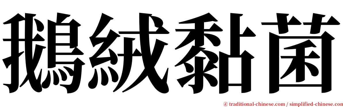 鵝絨黏菌 serif font