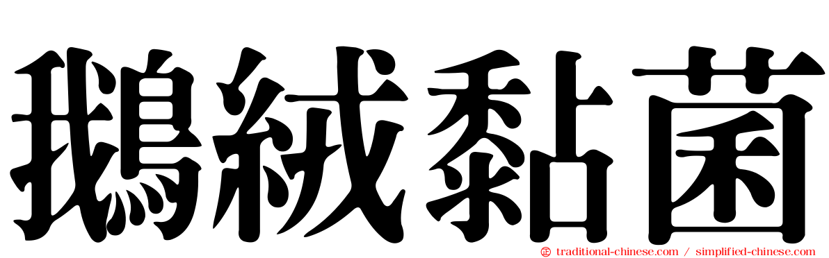 鵝絨黏菌