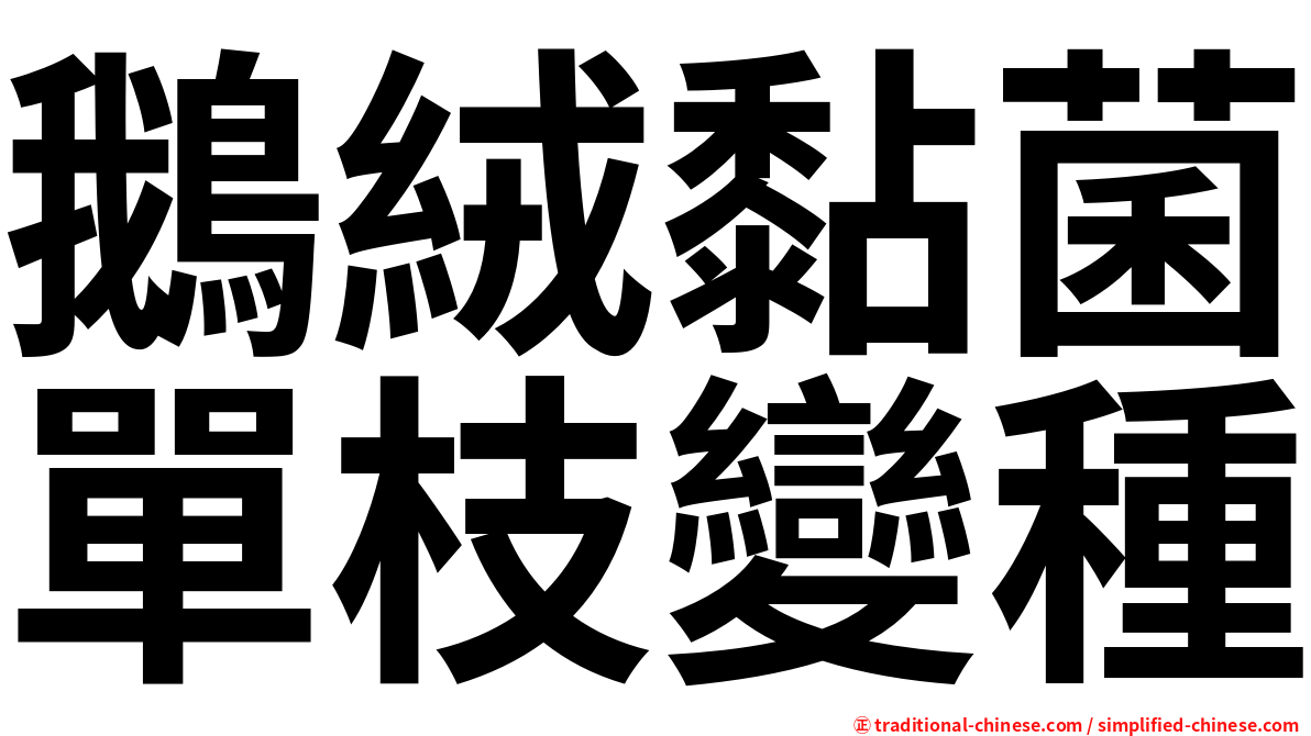 鵝絨黏菌單枝變種