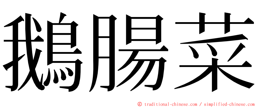 鵝腸菜 ming font