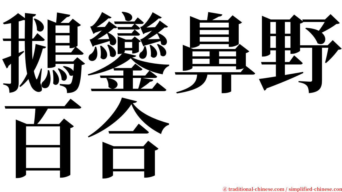 鵝鑾鼻野百合 serif font