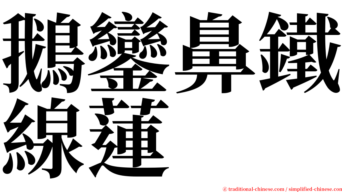 鵝鑾鼻鐵線蓮 serif font