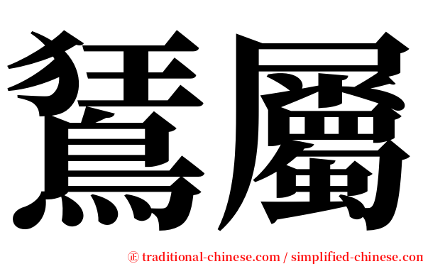 鵟屬 serif font