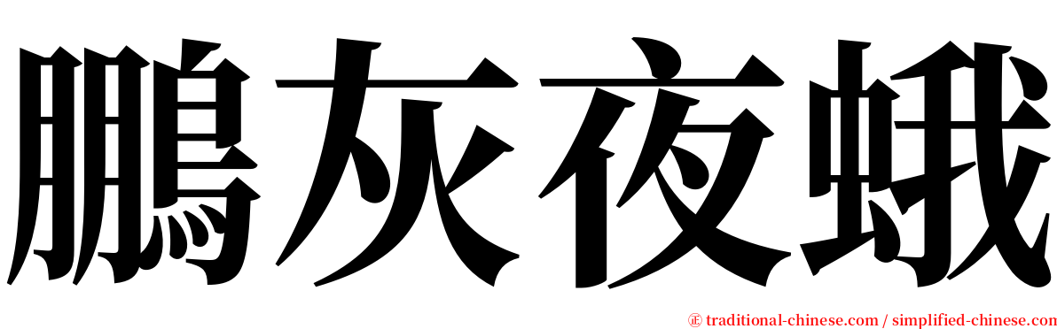 鵬灰夜蛾 serif font