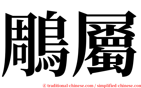 鵰屬 serif font