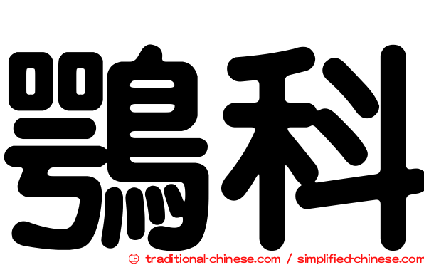 鶚科