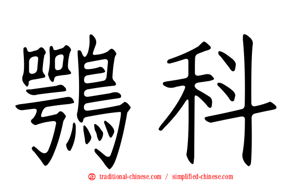 鶚科