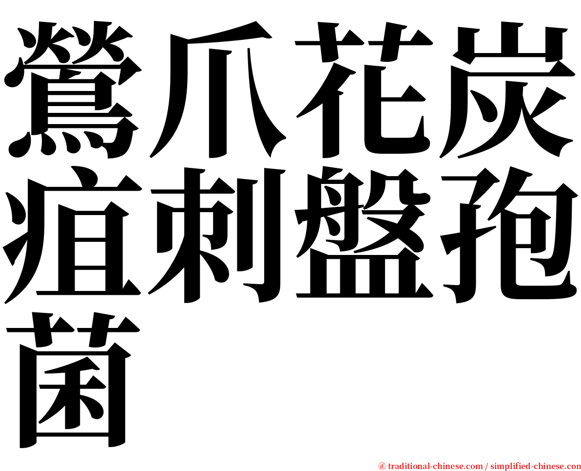 鶯爪花炭疽刺盤孢菌 serif font