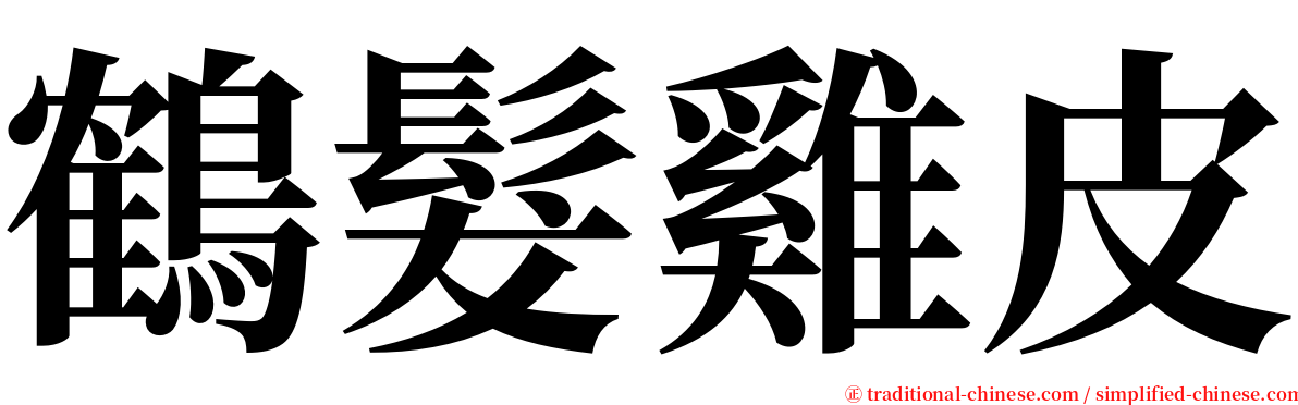 鶴髮雞皮 serif font