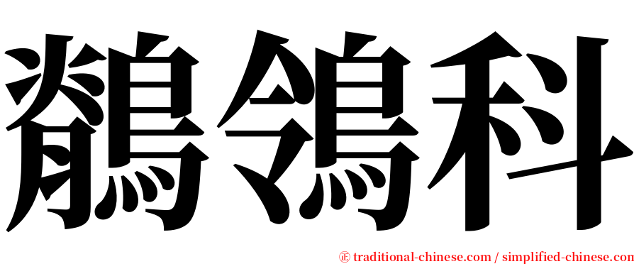 鶺鴒科 serif font