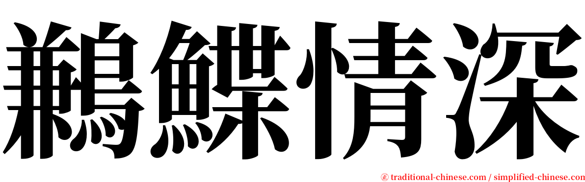 鶼鰈情深 serif font