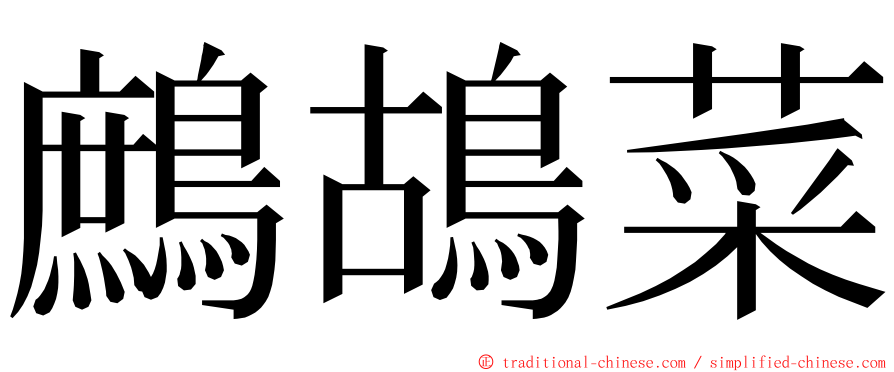 鷓鴣菜 ming font