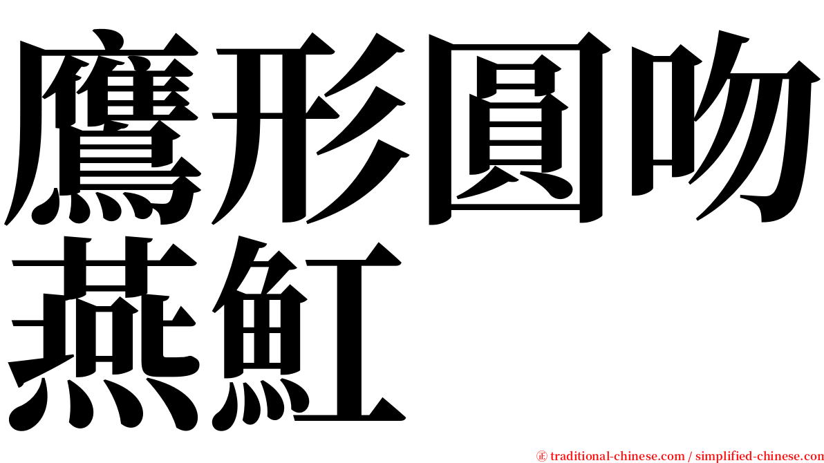 鷹形圓吻燕魟 serif font