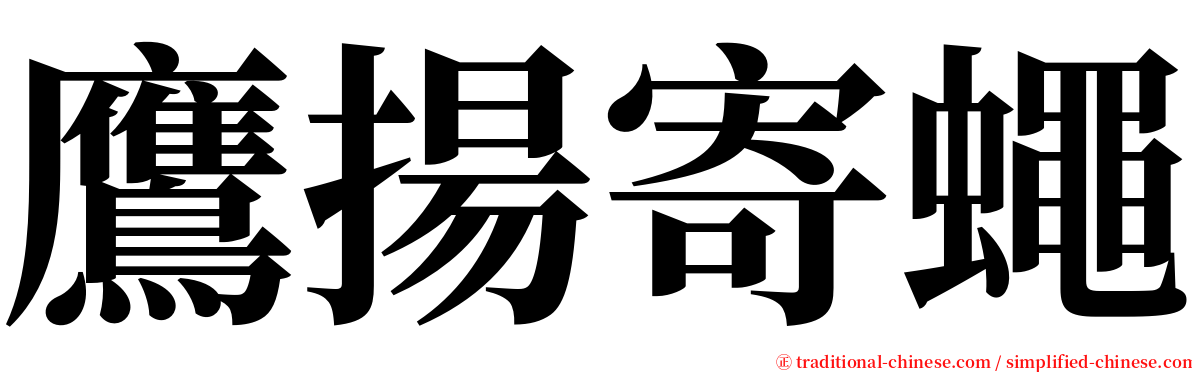 鷹揚寄蠅 serif font