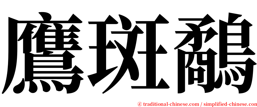 鷹斑鷸 serif font