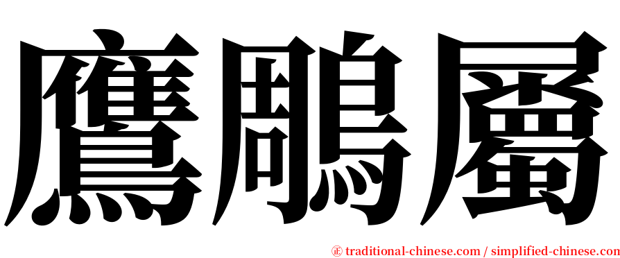 鷹鵰屬 serif font