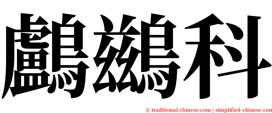 鸕鷀科 serif font