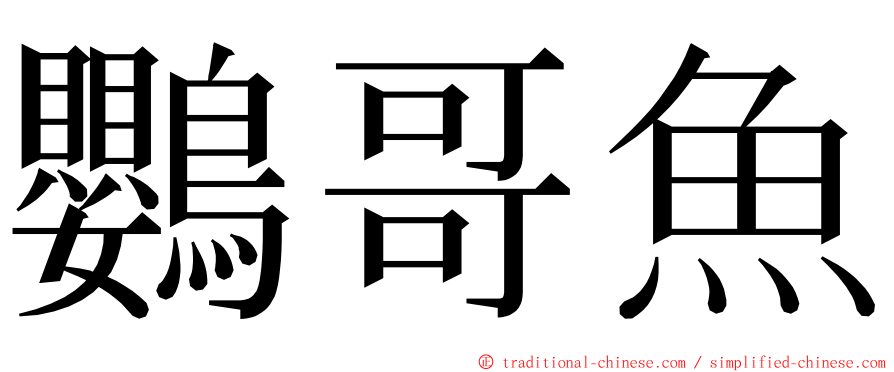 鸚哥魚 ming font