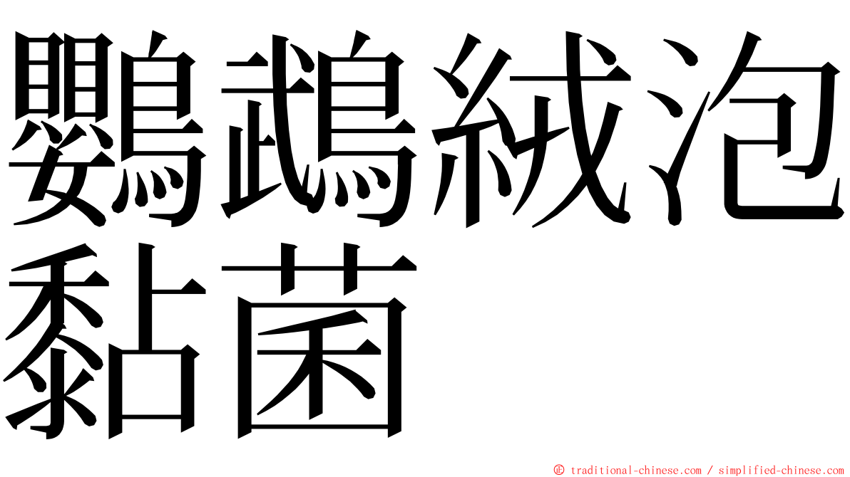 鸚鵡絨泡黏菌 ming font