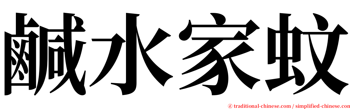 鹹水家蚊 serif font