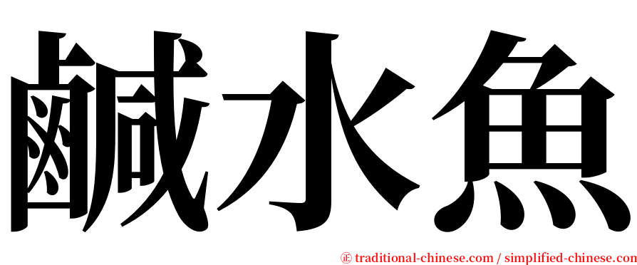 鹹水魚 serif font