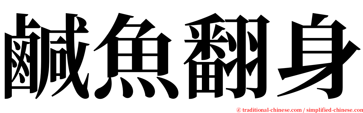 鹹魚翻身 serif font