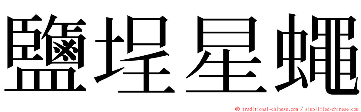 鹽埕星蠅 ming font