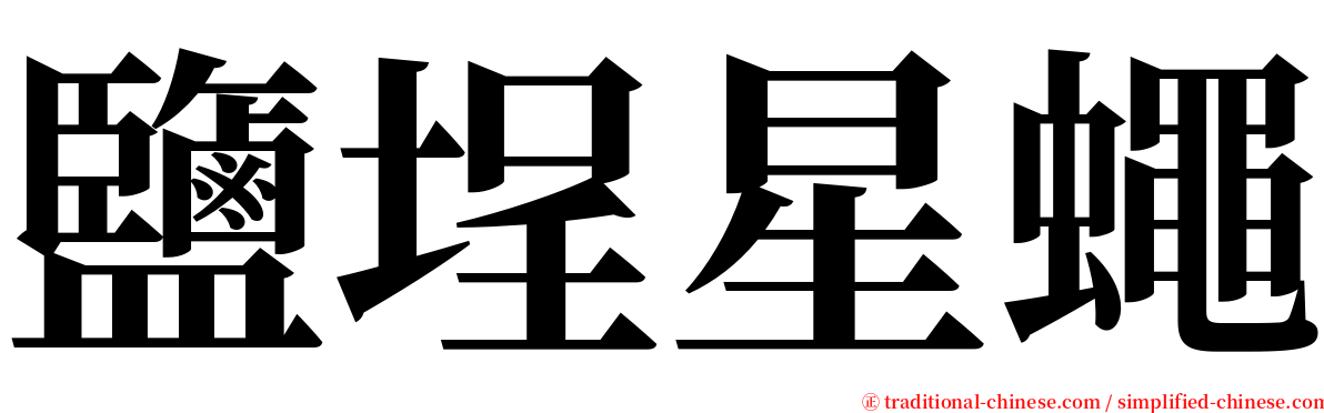 鹽埕星蠅 serif font