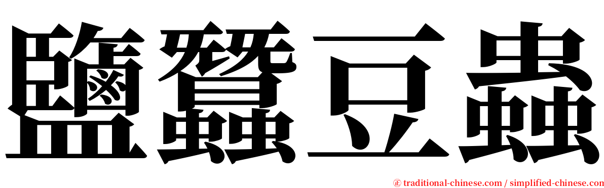 鹽蠶豆蟲 serif font