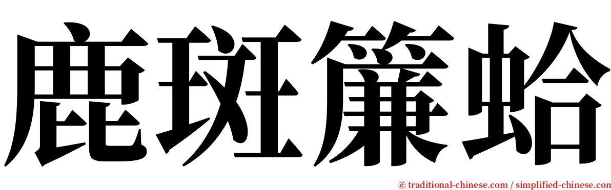 鹿斑簾蛤 serif font