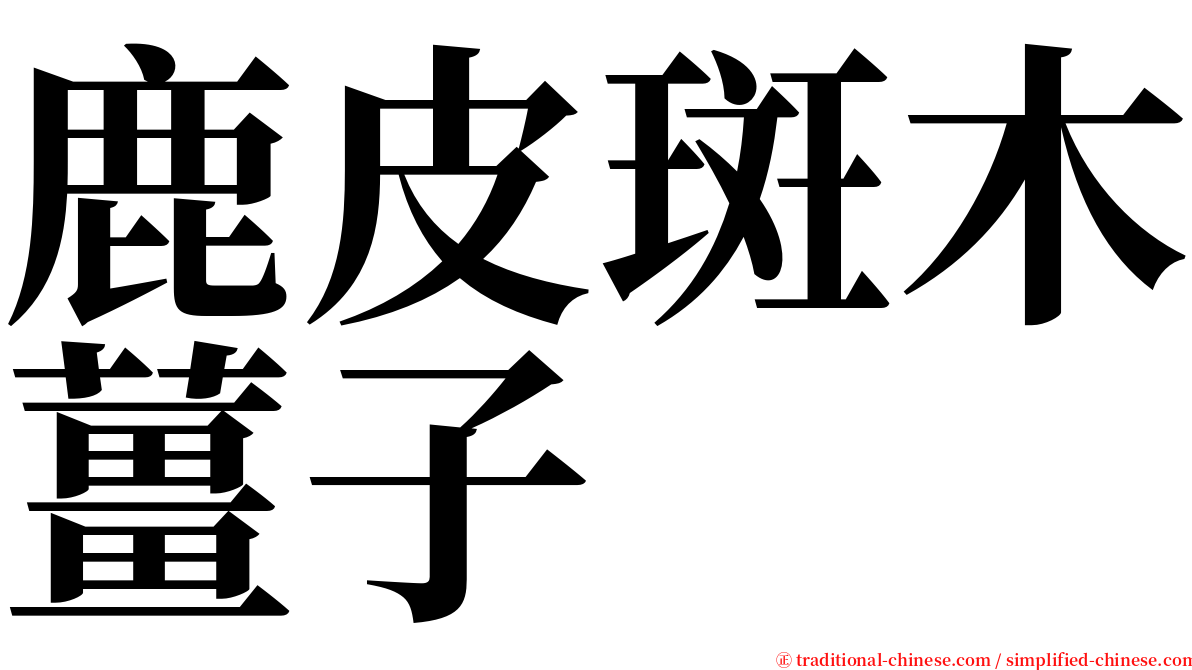 鹿皮斑木薑子 serif font