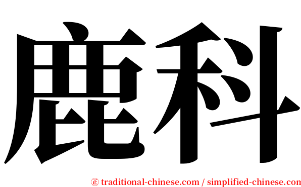 鹿科 serif font