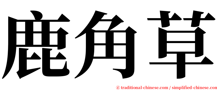 鹿角草 serif font