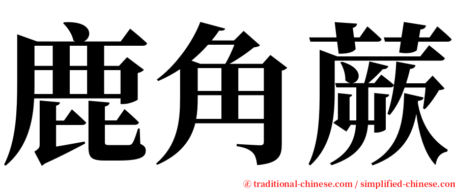 鹿角蕨 serif font