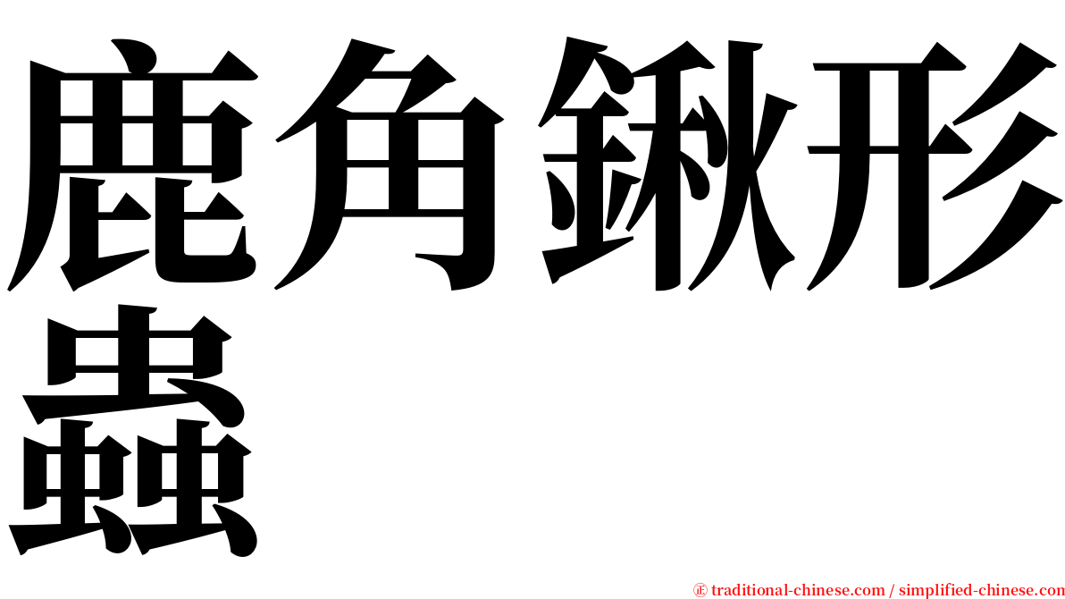 鹿角鍬形蟲 serif font