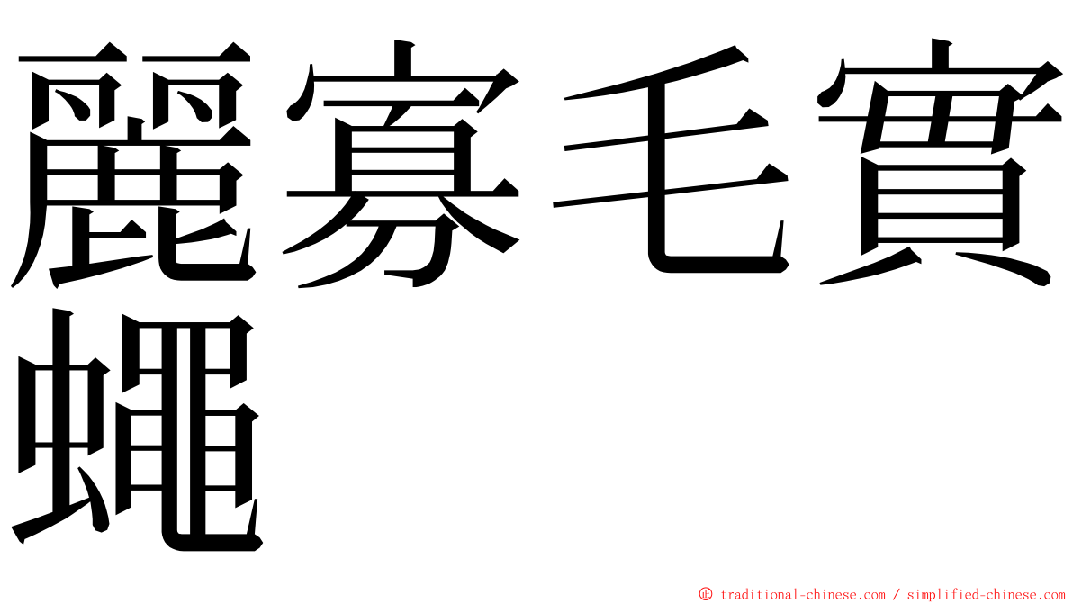 麗寡毛實蠅 ming font