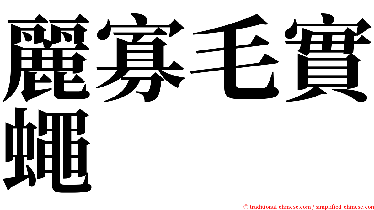 麗寡毛實蠅 serif font