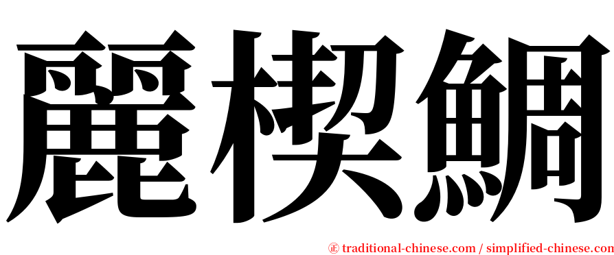 麗楔鯛 serif font