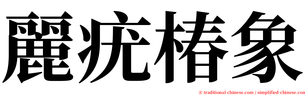 麗疣椿象 serif font