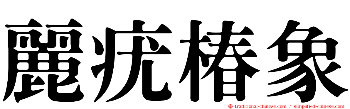 麗疣椿象