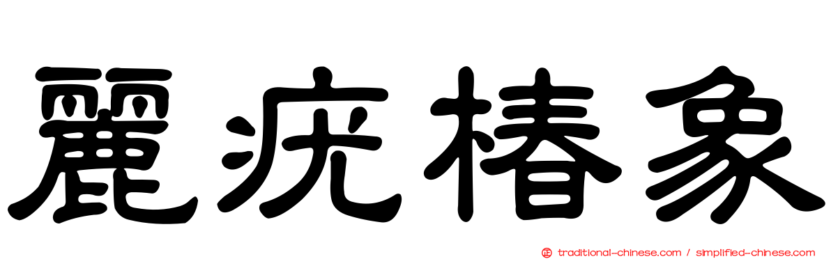 麗疣椿象