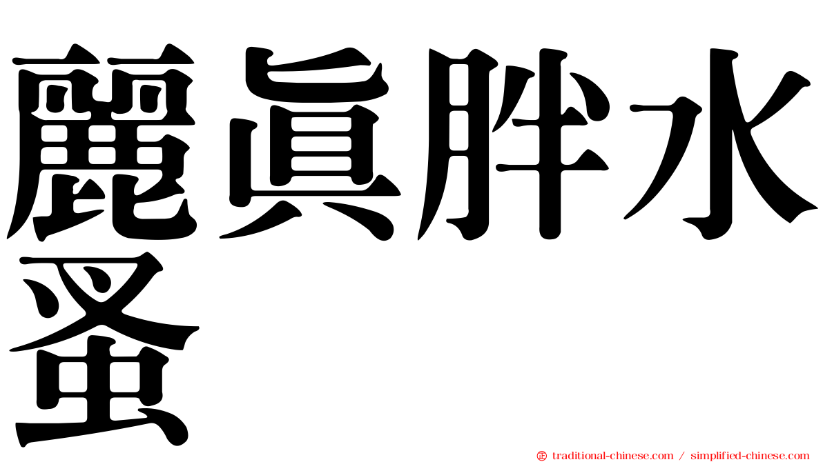 麗真胖水蚤