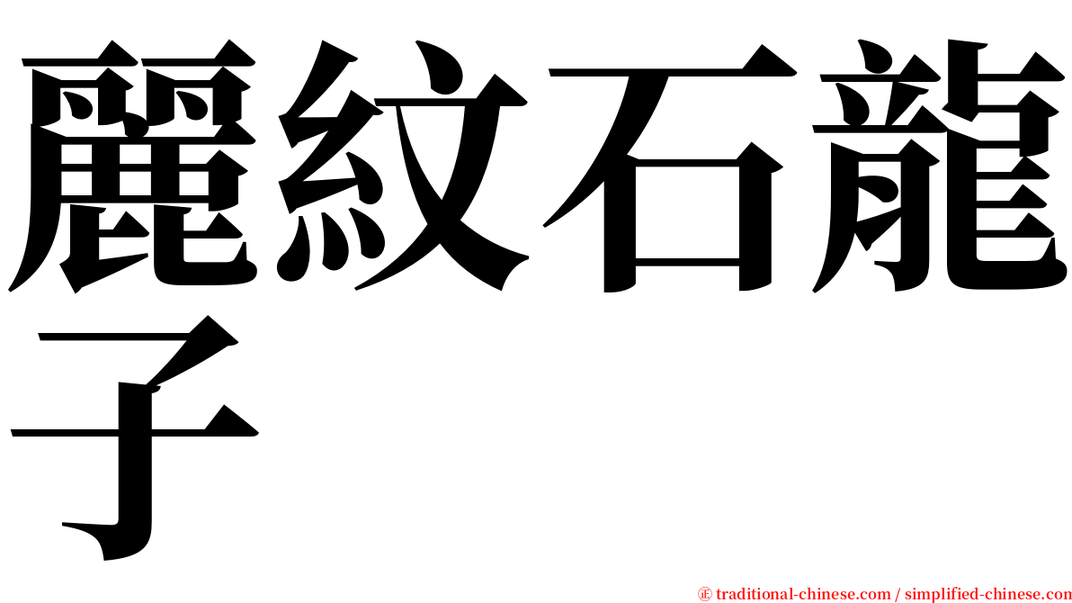 麗紋石龍子 serif font
