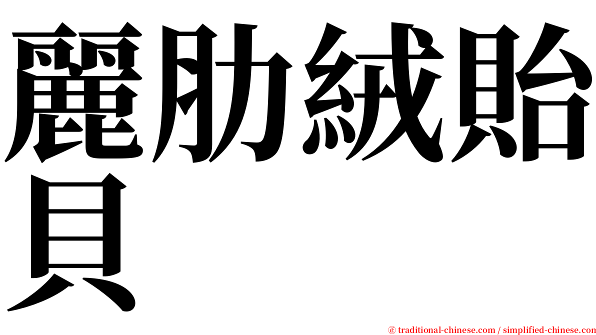 麗肋絨貽貝 serif font