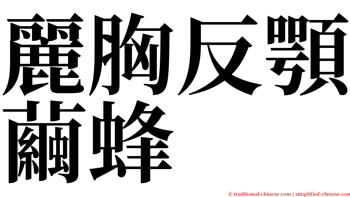 麗胸反顎繭蜂 serif font