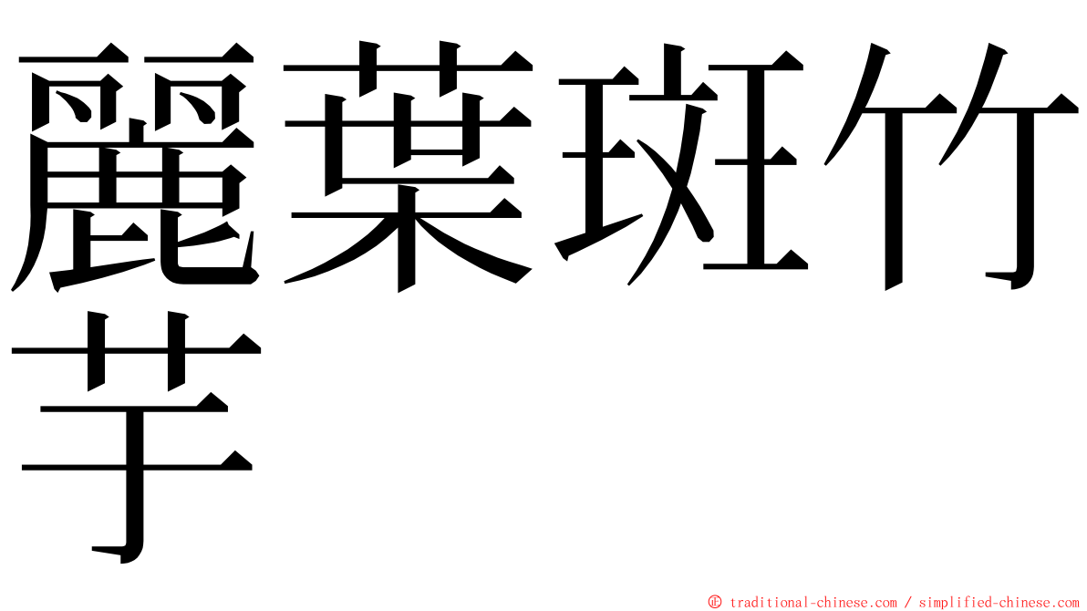 麗葉斑竹芋 ming font