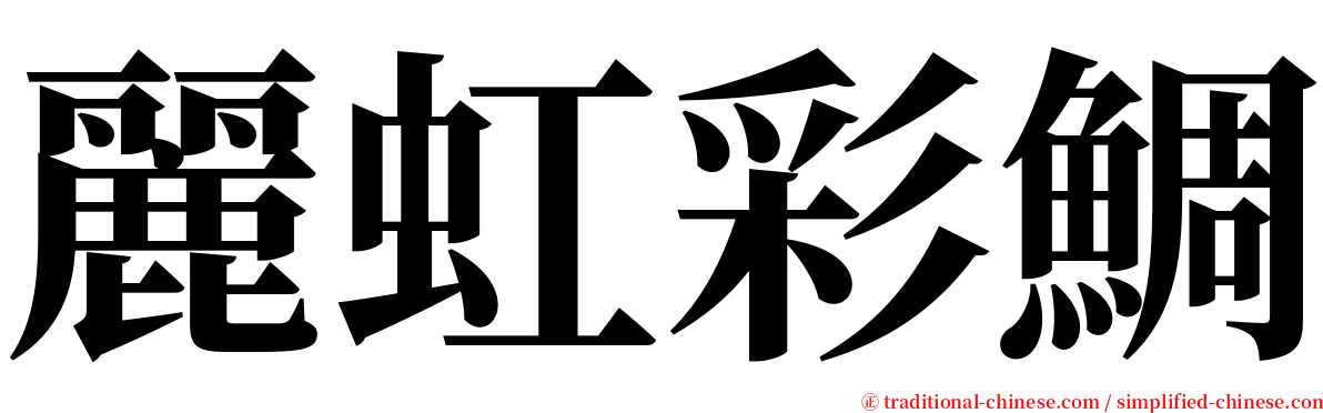 麗虹彩鯛 serif font