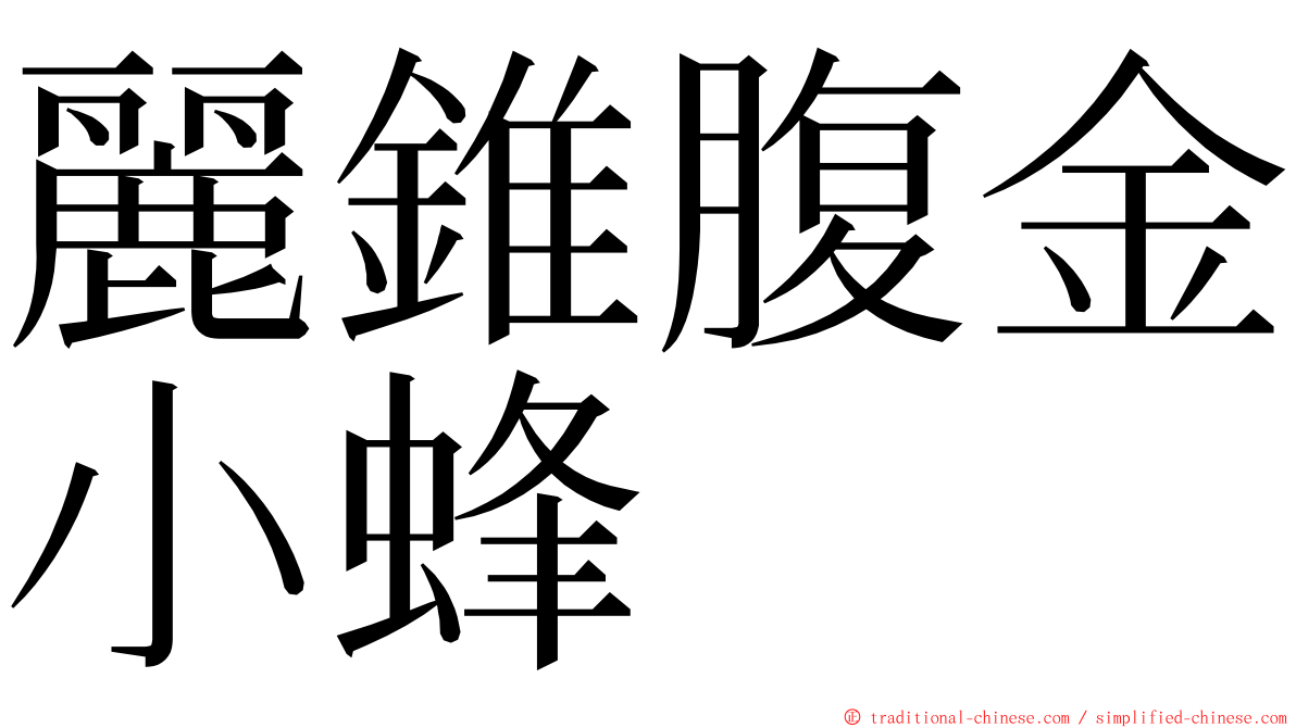 麗錐腹金小蜂 ming font